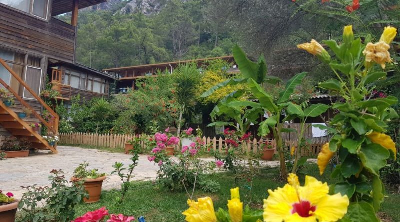 Olimpos Türkmen Ağaç Evleri