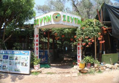 Olympos Zeytin Pansiyon