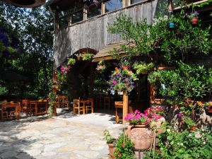 Olympos-Türkmen-Pansiyon-001