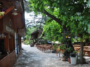 Olympos-Türkmen-Pansiyon-002