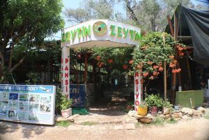 Olympos-Zeytin-Pansiyon-001