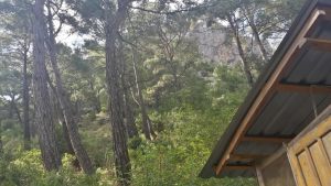 Olympos-Zeytin-Pansiyon-018