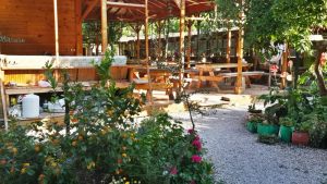 Olympos-Zeytin-Pansiyon-031