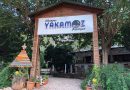 Olimpos Yakamoz Pansiyon