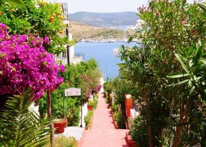 Bodrum-Rosso-Verde-Hotel-018