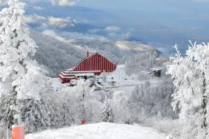 Kartepe-The-Green-Park-Resort-0018